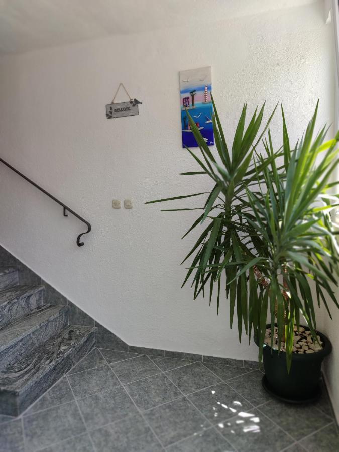 Apartments And Rooms Marica Makarska Dış mekan fotoğraf